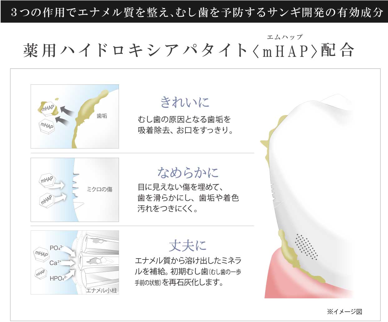 薬用ハイドロキシアパタイト3つの作用