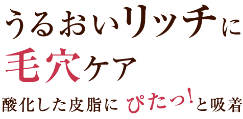 うるおいリッチに毛穴ケア酸化した皮脂にぴたっ！と吸着