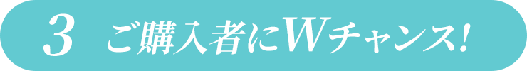 3.ご購入者にWチャンス!