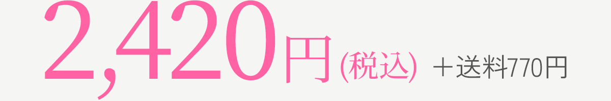 2,420円(税込)+送料770円
