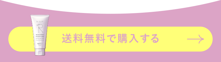 送料無料で購入する