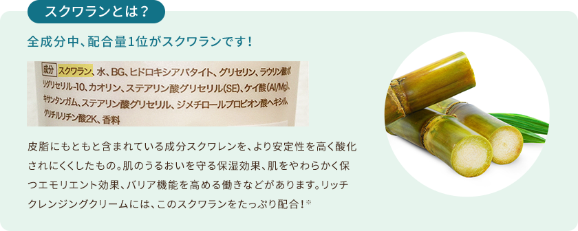 スクワランとは？ 全成分中、配合量1位がスクワランです！ 皮脂にもともと含まれている成分スクワレンを、より安定性を高く酸化されにくくしたもの。肌のうるおいを守る保湿効果、肌をやわらかく保つエモリエント効果、バリア機能を高める働きなどがあります。リッチクレンジングクリームには、このスクワランをたっぷり配合！※