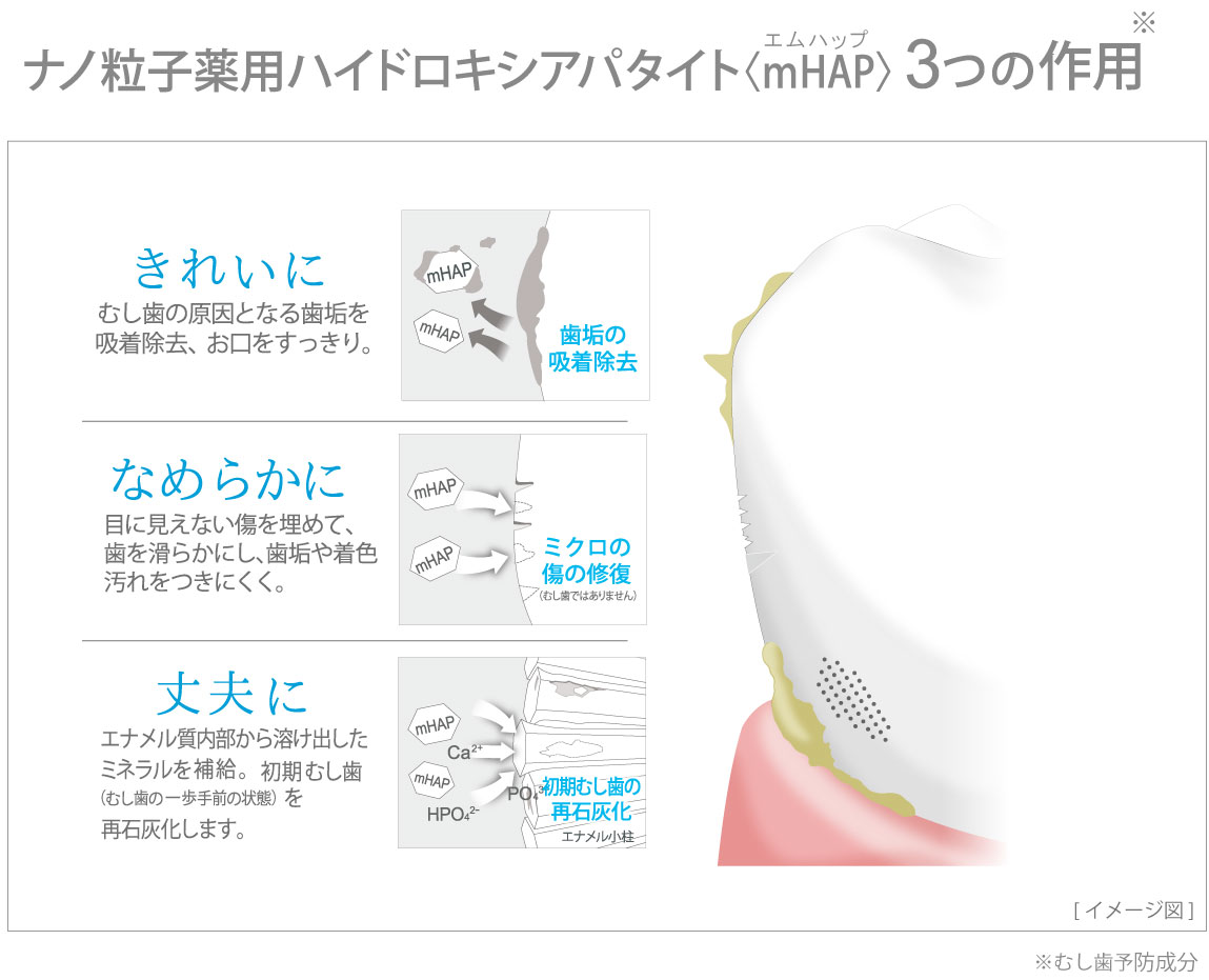 ナノ粒子薬用ハイドロキシアパタイトエムハップ3つの作用